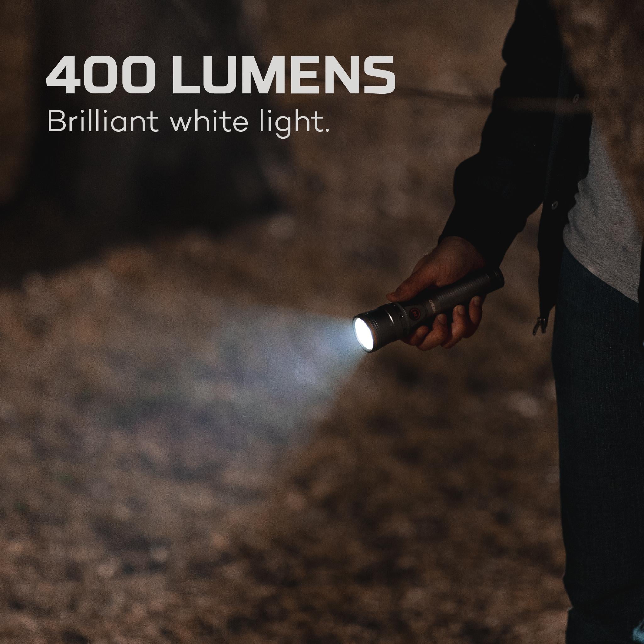 FRANKLIN Twist 400 Lumen Rechargeable Spotlight / Work light